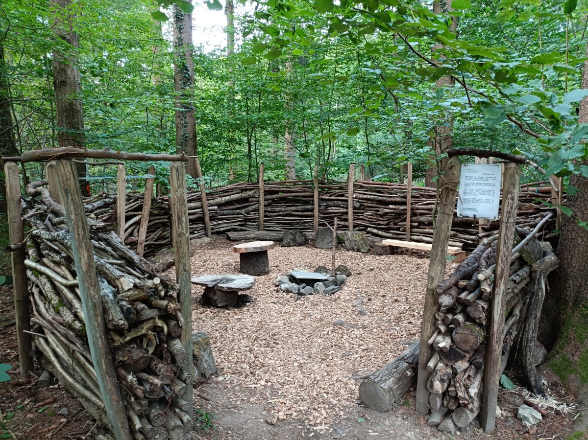 Canapé forestier de Vernand-Dessus
